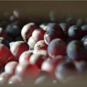 Tried & Tested: Ramada Hotels launches new ‘Say Hello to Red’ wine&nbsp;list