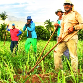 International Cachaca Day with The Thinking&nbsp;Drinkers